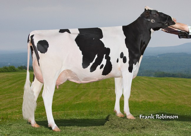 Filiale Buckeye Apart EX-91-2E