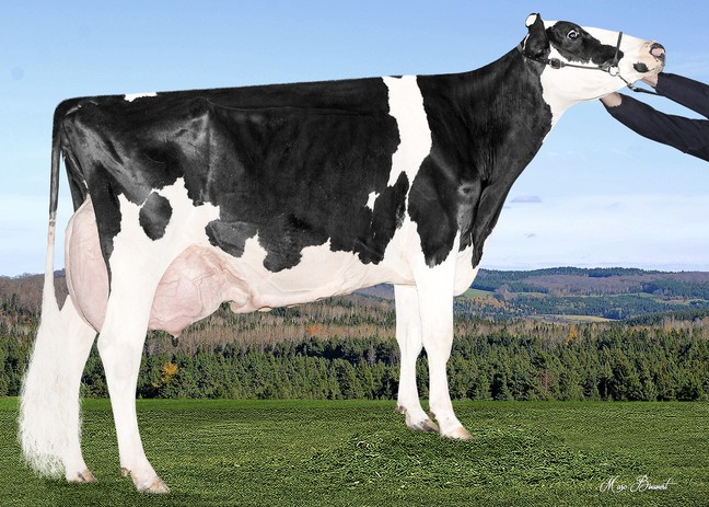 Filiale Kiss Aviendki EX-91-2E