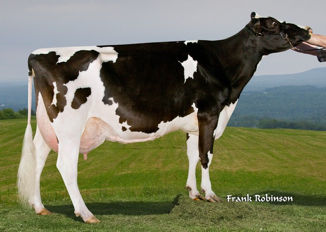 Filiale Outback Madouce EX-92-8E