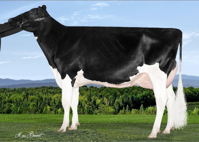 Filiale Spiderman Gloss EX-90-1*