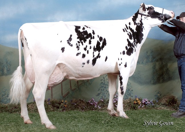 Filiale Terrason Mininou VG-87