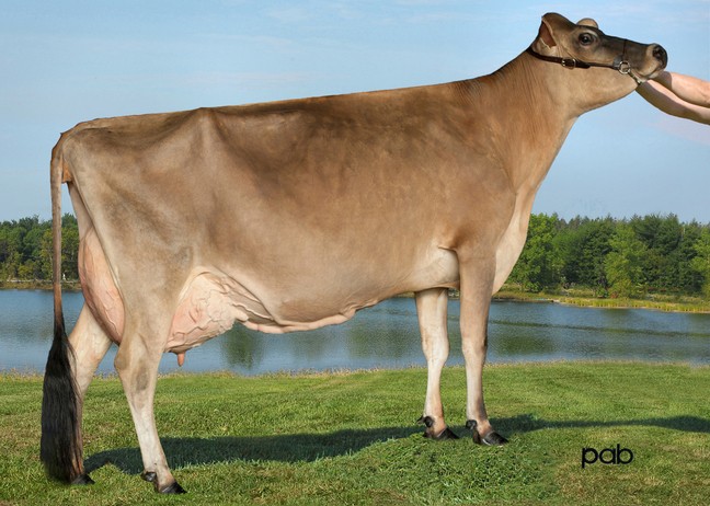 Fermar Paramount Joy EX-94-2E