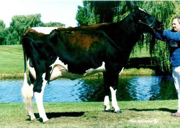 Filiale Jubilant Mali EX-91