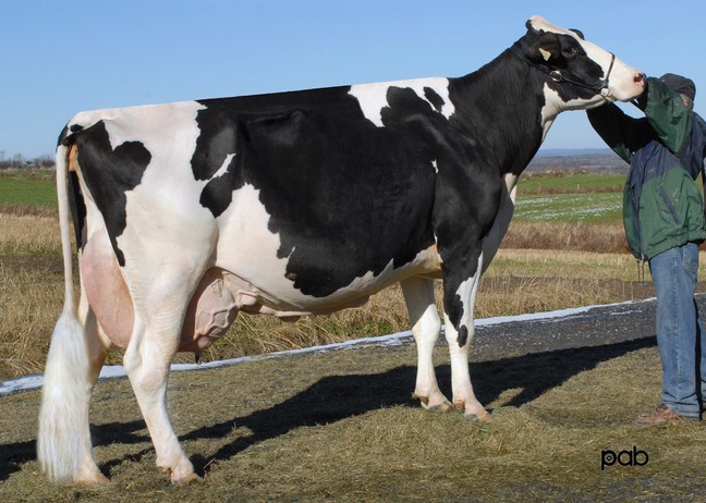 Filiale Reggie Stoune EX-93-4E
