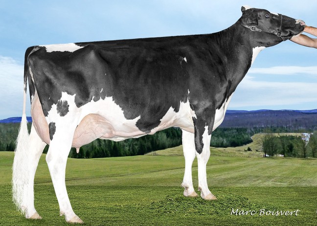 Filiale Pronto Tassure EX-90
