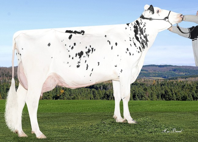 Filiale Epic Guess EX-90-2E-4*