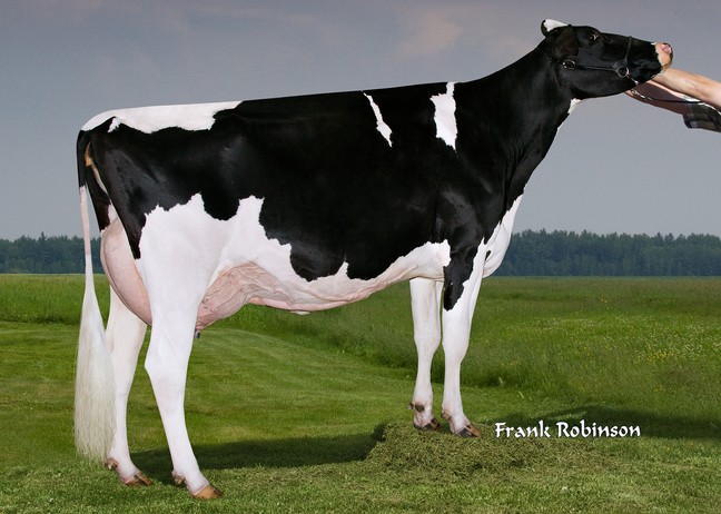 Filiale Goldwyn Sabelle EX-90-3E-3*