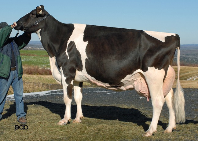 Filiale Mars Martosi EX-92-7E-1*