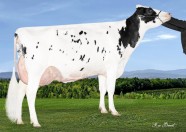 Filiale Spiderman Nightclub VG-87-3*