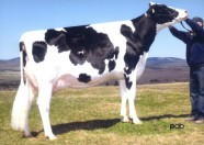 Filiale Wade Sabette EX-91-5E-3*