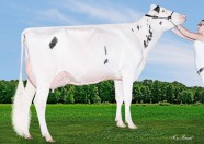 Guimo Spiderman Kandy VG-86