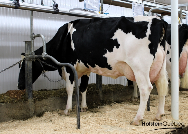 Filiale Goldwyn Gretzel EX-91-2E