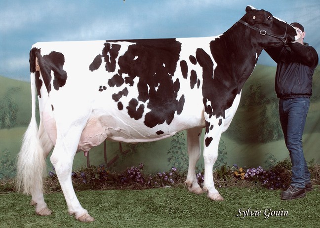 Filiale Wade Azuzu EX-92-4E