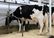 Filiale Goldwyn Gretzel EX-91-2E