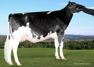Filiale Alchemy Galaxy VG-86